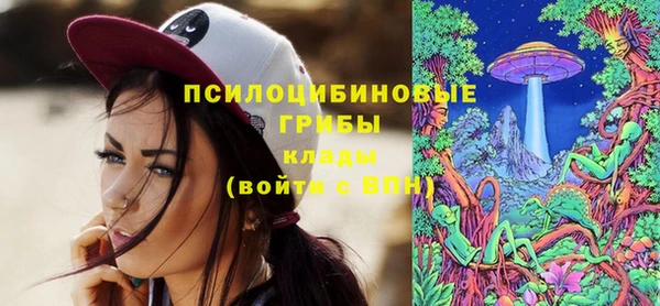 Альфа ПВП Алексин