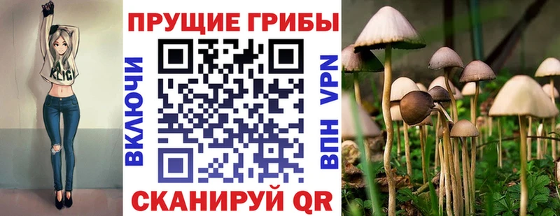 Псилоцибиновые грибы мухоморы  закладка  Клин 